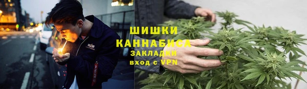 сатива Иннополис