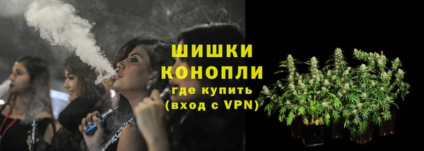прущая мука Инсар