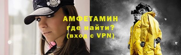 сатива Иннополис