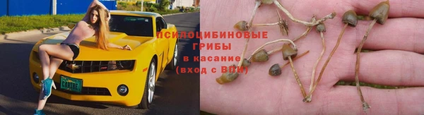 прущая мука Инсар
