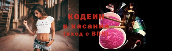 сатива Иннополис