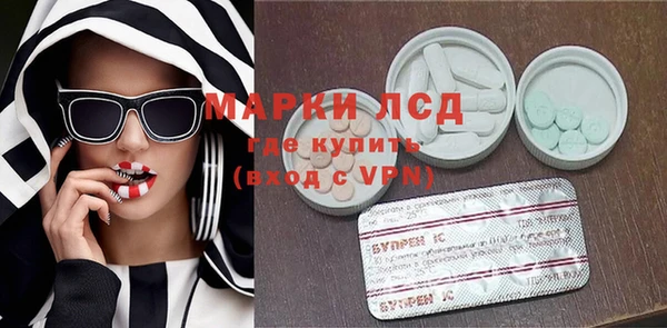 сатива Иннополис