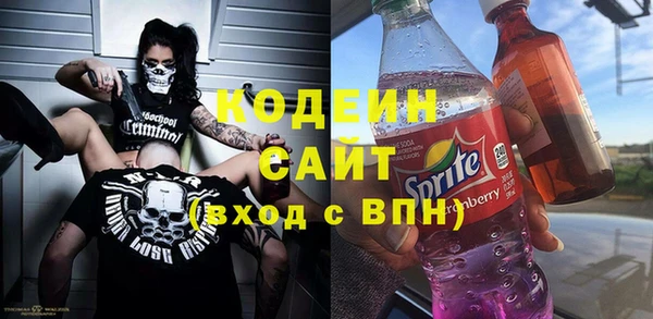 сатива Иннополис