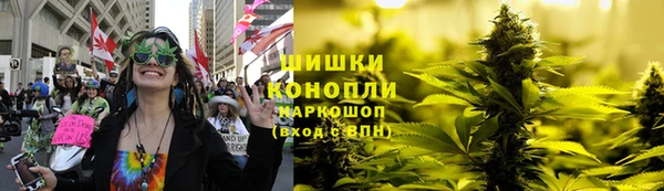 сатива Иннополис