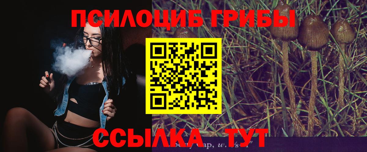 Псилоцибиновые грибы Psilocybine cubensis  Славгород 
