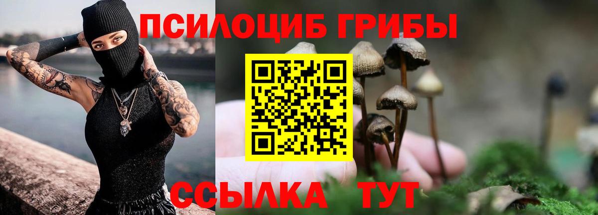 Славгород  Галлюциногенные грибы мухоморы  Вход с VPN 